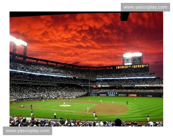 苏宁足球最新赛果深度解析各场比赛精彩瞬间回顾