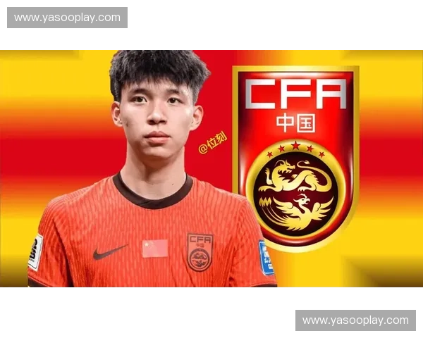 中国队世界杯征程全纪录解析与未来发展展望